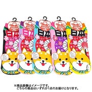 UO9927 [お土産ソックス 番傘を持つ柴犬 23～26cm 1足]