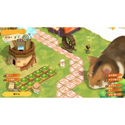 Nintendo Switch スイッチソフト箱庭開拓 ハムスターと太陽の里 通常版 サクセス 箱庭開拓 ハムスターと太陽の里