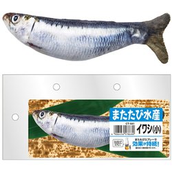 CT-641 [またたび水産 イワシ（小）]