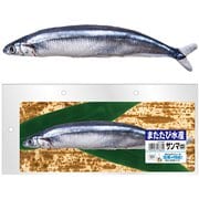 CT-637 [またたび水産 サンマ （中）]