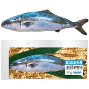 CT-638 [またたび水産 ハマチ （中）]