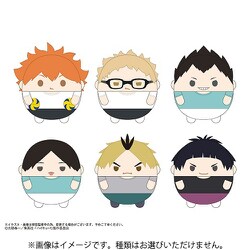 ヨドバシ.com - マックスリミテッド HQ-69 ハイキュー！！ ふわ