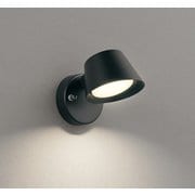 キッチンライト/要電気工事/高演色LED/白熱灯器具60W相当 OB255387BR