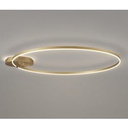 シャンデリア/要電気工事/白熱灯器具100W×2灯相当 OC257241BC