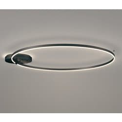 シャンデリア/要電気工事/白熱灯器具100W×2灯相当 OC257244BC