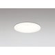 ダウンライト/要電気工事/調光器別売/高演色LED/白熱灯器具100W相当 OD361117R
