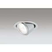エクステリアライト/要電気工事/高演色LED・ユニバーサル/白熱灯器具100W相当 OD361155R