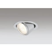 エクステリアライト/要電気工事/高演色LED・ユニバーサル/白熱灯器具100W相当 OD361156R