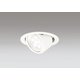 エクステリアライト/要電気工事/高演色LED・ユニバーサル/白熱灯器具60W相当 OD361157R