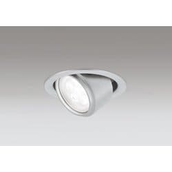 エクステリアライト/要電気工事/高演色LED・ユニバーサル/白熱灯器具60W相当 OD361161R