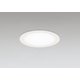 ダウンライト/要電気工事/高演色LED/白熱灯器具100W相当 OD361603R