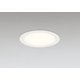 ダウンライト/要電気工事/高演色LED/白熱灯器具100W相当 OD361605R
