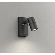 エクステリアライト/要電気工事/高演色LED/JDR50W相当 OG254918R1