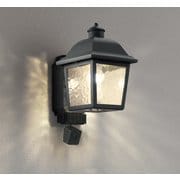 エクステリアライト/要電気工事/高演色LED/白熱灯器具40W相当 OG264164LCR