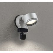 エクステリアライト/要電気工事/高演色LED/白熱灯器具60W相当 OG264202LCR