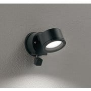 エクステリアライト/要電気工事/高演色LED/白熱灯器具60W相当 OG264203NCR