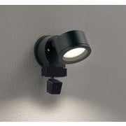 エクステリアライト/要電気工事/高演色LED/白熱灯器具60W相当 OG264204LCR