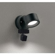 エクステリアライト/要電気工事/高演色LED/白熱灯器具60W相当 OG264204NCR