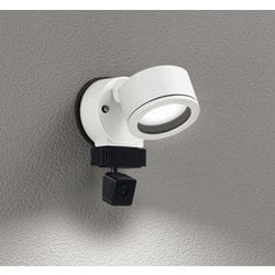 エクステリアライト/要電気工事/高演色LED/白熱灯器具60W相当 OG264206NCR