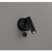 エクステリアライト/要電気工事/ランプ別売/人検知カメラ付JDR50W相当 OG264207