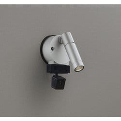 エクステリアライト/要電気工事/ランプ別売/顔識別カメラ付JDR50W相当 OG264210