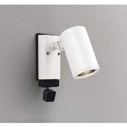 エクステリアライト/要電気工事/ランプ別売/顔識別カメラ付JDR75W相当 OG264212