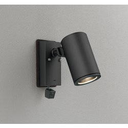 エクステリアライト/要電気工事/ランプ別売/人検知カメラ付JDR75W相当 OG264213
