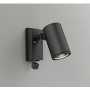 エクステリアライト/要電気工事/ランプ別売/人検知カメラ付JDR75W相当 OG264213