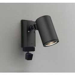 エクステリアライト/要電気工事/ランプ別売/顔識別カメラ付JDR75W相当 OG264214