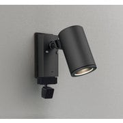 エクステリアライト/要電気工事/ランプ別売/顔識別カメラ付JDR75W相当 OG264214