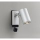 エクステリアライト/要電気工事/ランプ別売/顔識別カメラ付JDR75W相当 OG264216
