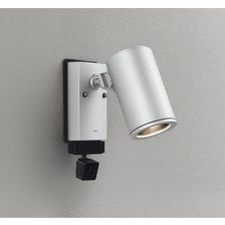 エクステリアライト/要電気工事/ランプ別売/顔識別カメラ付JDR75W相当 OG264216