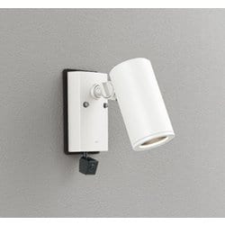 エクステリアライト/要電気工事/ランプ別売/人検知カメラ付JDR50W相当 OG264217