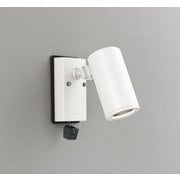 エクステリアライト/要電気工事/ランプ別売/人検知カメラ付JDR50W相当 OG264217
