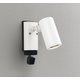 エクステリアライト/要電気工事/ランプ別売/顔識別カメラ付JDR50W相当 OG264218