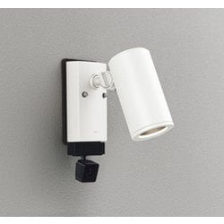 エクステリアライト/要電気工事/ランプ別売/顔識別カメラ付JDR50W相当 OG264218