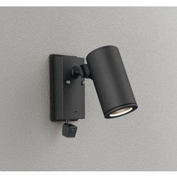 エクステリアライト/要電気工事/ランプ別売/人検知カメラ付JDR50W相当 OG264219