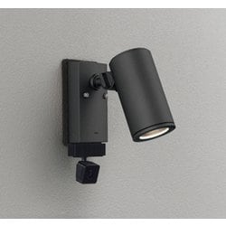 エクステリアライト/要電気工事/ランプ別売/顔識別カメラ付JDR50W相当 OG264220