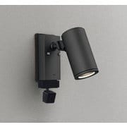 エクステリアライト/要電気工事/ランプ別売/顔識別カメラ付JDR50W相当 OG264220
