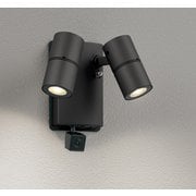 エクステリアライト/要電気工事/高演色LED/JDR50W×2灯相当 OG264253R