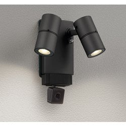 エクステリアライト/要電気工事/高演色LED/JDR50W×2灯相当 OG264254R