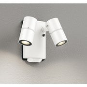 エクステリアライト/要電気工事/高演色LED/JDR50W×2灯相当 OG264276R