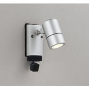 エクステリアライト/要電気工事/ランプ別売/顔識別カメラ付JDR50W相当 OG264288