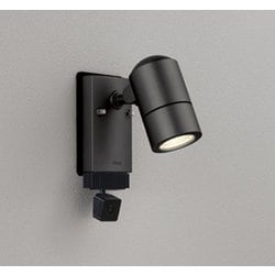 エクステリアライト/要電気工事/ランプ別売/顔識別カメラ付JDR50W相当 OG264289