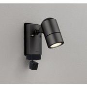 エクステリアライト/要電気工事/ランプ別売/顔識別カメラ付JDR50W相当 OG264289