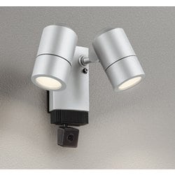 エクステリアライト/要電気工事/ランプ別売/顔識別カメラ付JDR50W×2灯相当 OG264290
