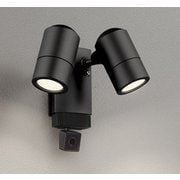 エクステリアライト/要電気工事/ランプ別売/顔識別カメラ付JDR50W×2灯相当 OG264291