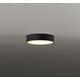 小型シーリングライト/要電気工事/高演色LED/白熱灯器具100W相当 OL291674LR
