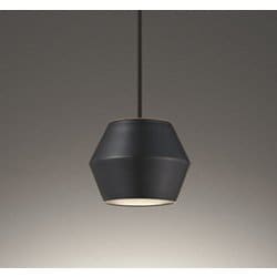 ペンダントライト/レール取付専用/高演色LED/白熱灯器具60W相当 OP252975BR