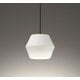ペンダントライト/要電気工事/高演色LED/白熱灯器具60W相当 OP252978BR